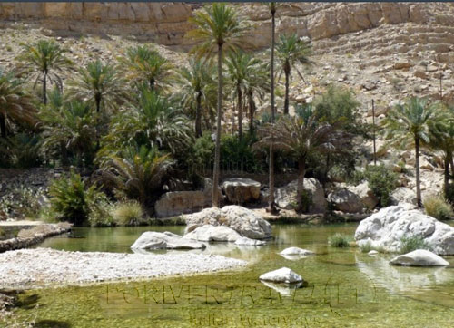 Oman, Wadi Bani Khalid